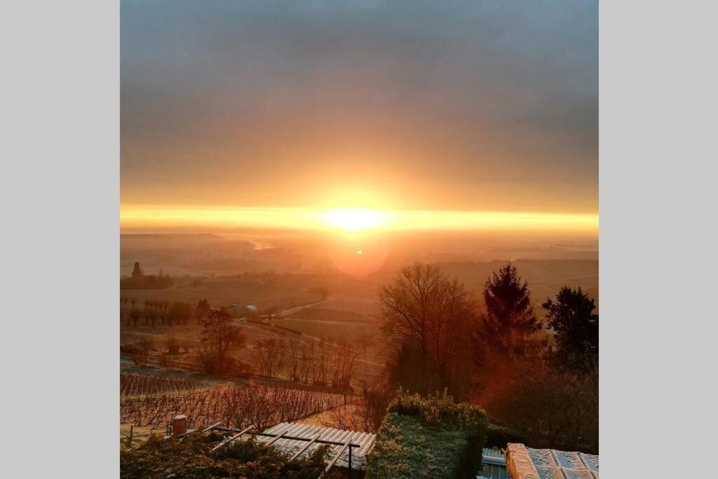 Appartamento Vue Panoramique Sur Le Vignoble Sancerre Esterno foto