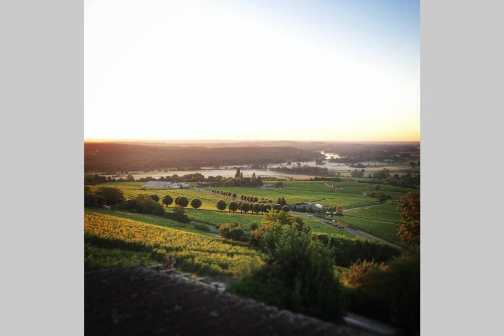 Appartamento Vue Panoramique Sur Le Vignoble Sancerre Esterno foto